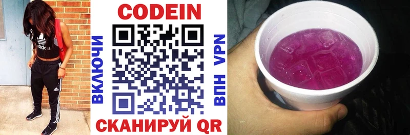 darknet наркотические препараты  blacksprut ССЫЛКА  Кодеиновый сироп Lean Purple Drank  Жуковский  купить наркоту 