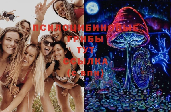 a pvp Надым