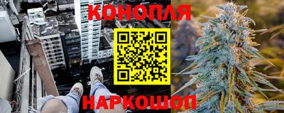 спиды Гатчина