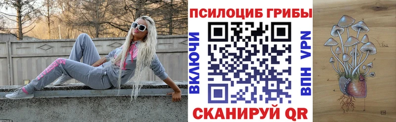 Псилоцибиновые грибы Cubensis  Жуковский 