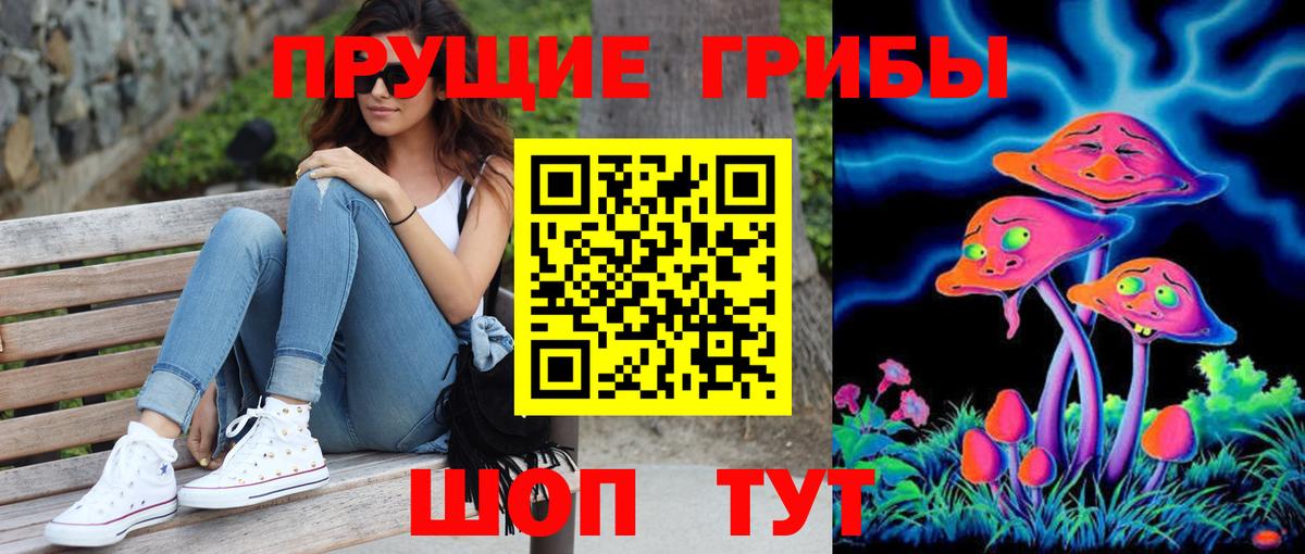 купить наркотик  Псилоцибиновые грибы прущие грибы  Жуковский  Вход с VPN  Псилоцибиновые грибы мухоморы 