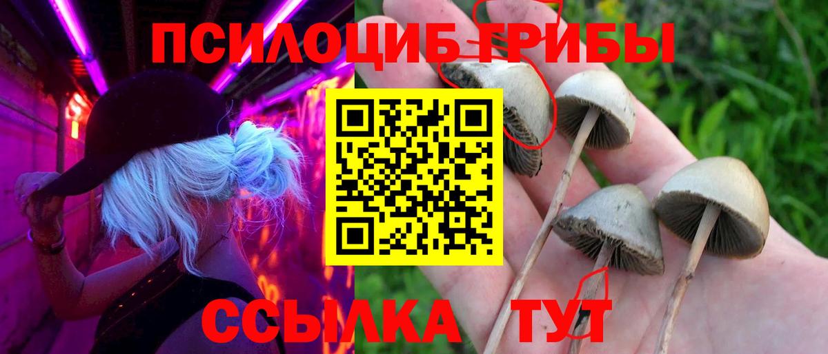 купить  цена  Жуковский  Псилоцибиновые грибы мухоморы 